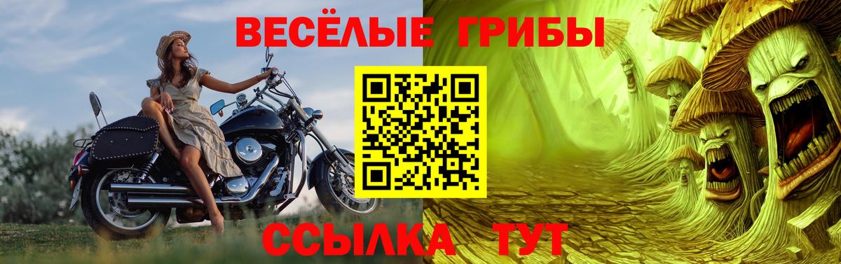 Псилоцибиновые грибы мицелий  Вход с VPN  Псилоцибиновые грибы мицелий  Майский 
